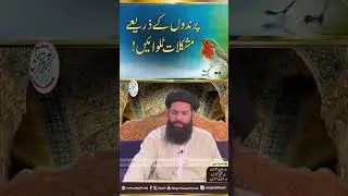 Parindon Ke Zarye Mushkilat Talwain | ubqari #shortsvideo
