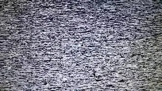 Old Analog TV Static Sound | White Noise