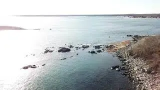 Timber Island Nov 2019
