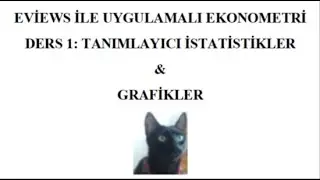 EVIEWS ile UYGULAMALI EKONOMETRİ_ Tanımlayıcı İstatistikler & Grafikler