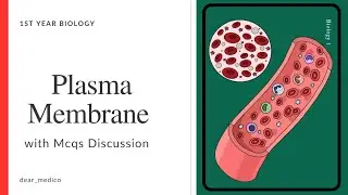 Mastering The Plasma membrane theory+MCQs discussion #mdcat #neet 
