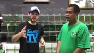 EXPEDICIÓN ACUARIOTV THAILANDIA 2017 BETTAS:  INTERFISH  Rompiendo mitos  y aclarando dudas