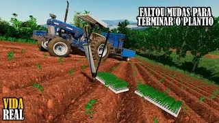 Finalizando o Plantio do Tabaco || Vida Real || - EP13