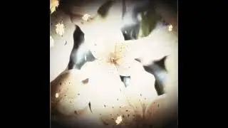 2025 | NATURE MULTI KIT - Samples