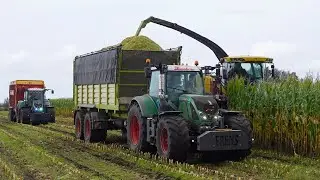 Mais 2023 | Fendt 718 + 720 + 724 | New Holland FR500 | Johan Frens Hulshorst | Maishakselen