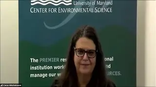 Reducing Plastic Waste and Pollution