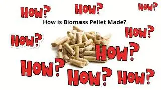 How biomass pellets are made? - Illustration