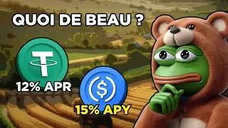QUOI DE BEAU SUR LES STABLECOINS ! (2026 Commence moyen...)