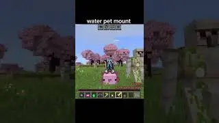 water pet mount 😳 #minecraft #minecraftshorts #memes #trending #minecraftmemes #funny #mods