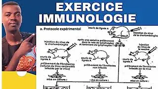 Immunologie & Greffes  Correction Exercice Type Bac
