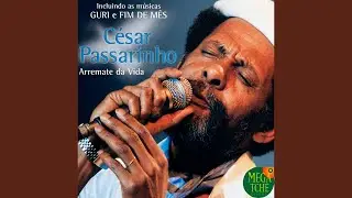 P&Aacute;SSARO NEGRO DA PAZ