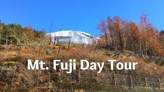Mt Fuji Day Bus Tour by Klook