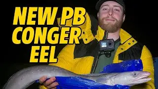 NEW PB Conga EEL!! - Clovelly North Devon
