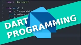 Dart Handling Exceptions