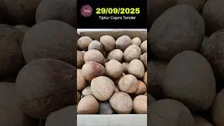 Tiptur Copra Tender & Kobbari Price Today 29/09/2025 #shorts #CopraTender