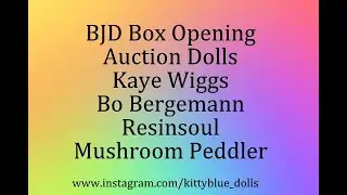 BJD Box Opening Auction Dolls