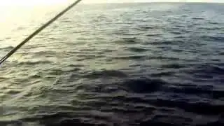 sail10 may 2014