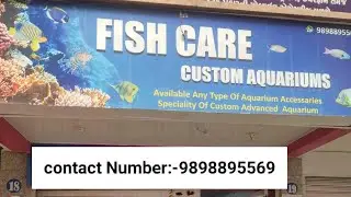 Fish Aquarium 🐠 Shop Patan || FISH CARE CUSTOM SHOP