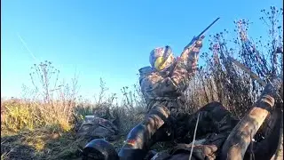 Duck hunting Boundary Bay Delta BC
