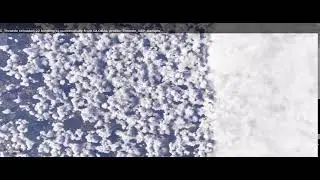 George Carey Live Stream