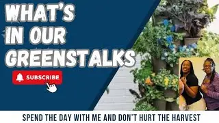 What&rsquo;s in our GREENSTALK