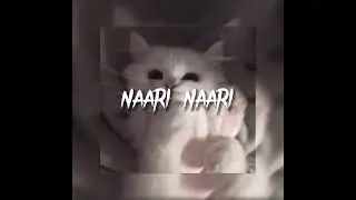 Naari Naari - Made in China (bollywood song) - speed up | instagram: jxvnav