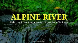 ALPINE RIVER - Relaxing River Ambience for Stress Relief & Sleep