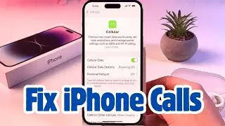 How to Fix Outgoing Calls Not Working on iPhone After iOS 18 Update