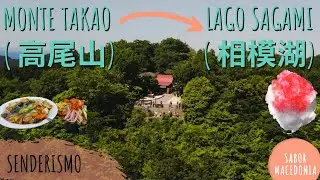 Japón Natural: Excursión del Monte Takao al Lago Sagamiko a Pie (12km)
