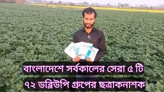 বাংলাদেশে সর্বকালের সেরা ৫ টি ৭২ ডব্লিউপি গ্রুপের ছত্রাকনাশক || ম্যানকোজেব+সাইমোক্সানিল+মেটালেক্সিল
