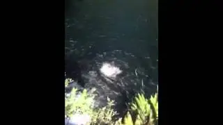 Summer cliff jumping adventures, Portland Oregon