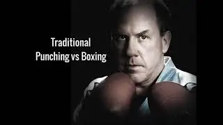 Martial Arts Curriculum | Traditional Martial Arts Punching vs Real Punching