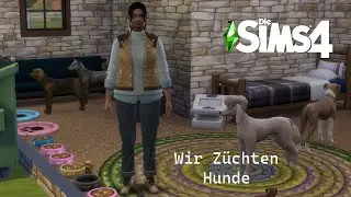 Tierzucht Challange Part 2 Immer mehr Hunde
