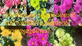 നിങ്ങൾക്ക് ഓൺലൈൻ ബിസിനസ് തുടങ്ങാൻ താല്പര്യമുണ്ടോ?