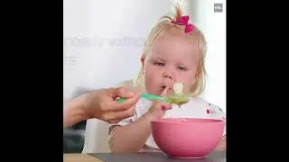 MQ523 Video1 MultiQuick 5 Baby Food Maker and Hand Blender