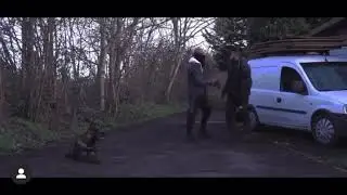 Advanced Dog Training