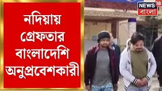 Nadia News | নদিয়ায় গ্রেফতার বাংলাদেশি অনুপ্রবেশকারী ও  ২ ভারতীয় দালাল | Bangla News