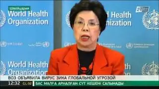 ВОЗ объявила вирус Зика угрозой международного масштаба