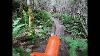 Cassidy Creek June 2025 Full Ride