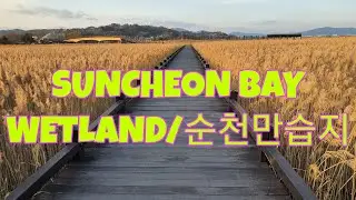 SUNCHEON  BAY WETLAND SUNCHEON CITY KOREA/순천만습지