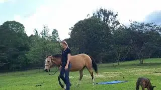 OLHA Green Equagility September 2024 Ineke Keough #3022/05/22E Honey #N3970P