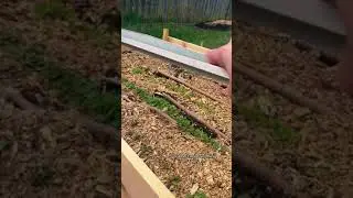 BOAB: Episode ? Repurposed Shower Door Backyard Garden Cold Frame