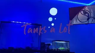 Cichlid Tank review | 35 gallon fish tank update