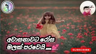 awasanawata rosa malak | අවාසනාවට රෝස මලක් පරවෙයි 💕💕