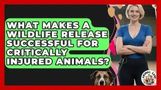 What Makes A Wildlife Release Successful For Critically Injured Animals? - Animal Care Jobs