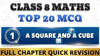 Best MCQ Class 8 A Square and A Cube | GANITA PRAKASH Class 8 Maths MCQ