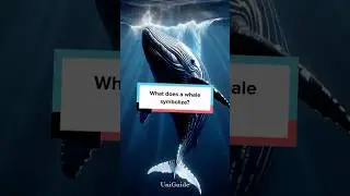 What does a whale symbolize?