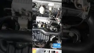 Maruti 800 796 cc Euro 2 EFI Engine Sound 🔥 | Real Exhaust Clip #shorts