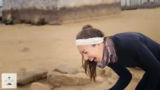 Hilarious & Smelly Travel Location // Skeleton Coast Seal Colony Park