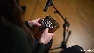 Lizard Series Acoustic Electric Kalimba - Solid Acacia - OKB1E